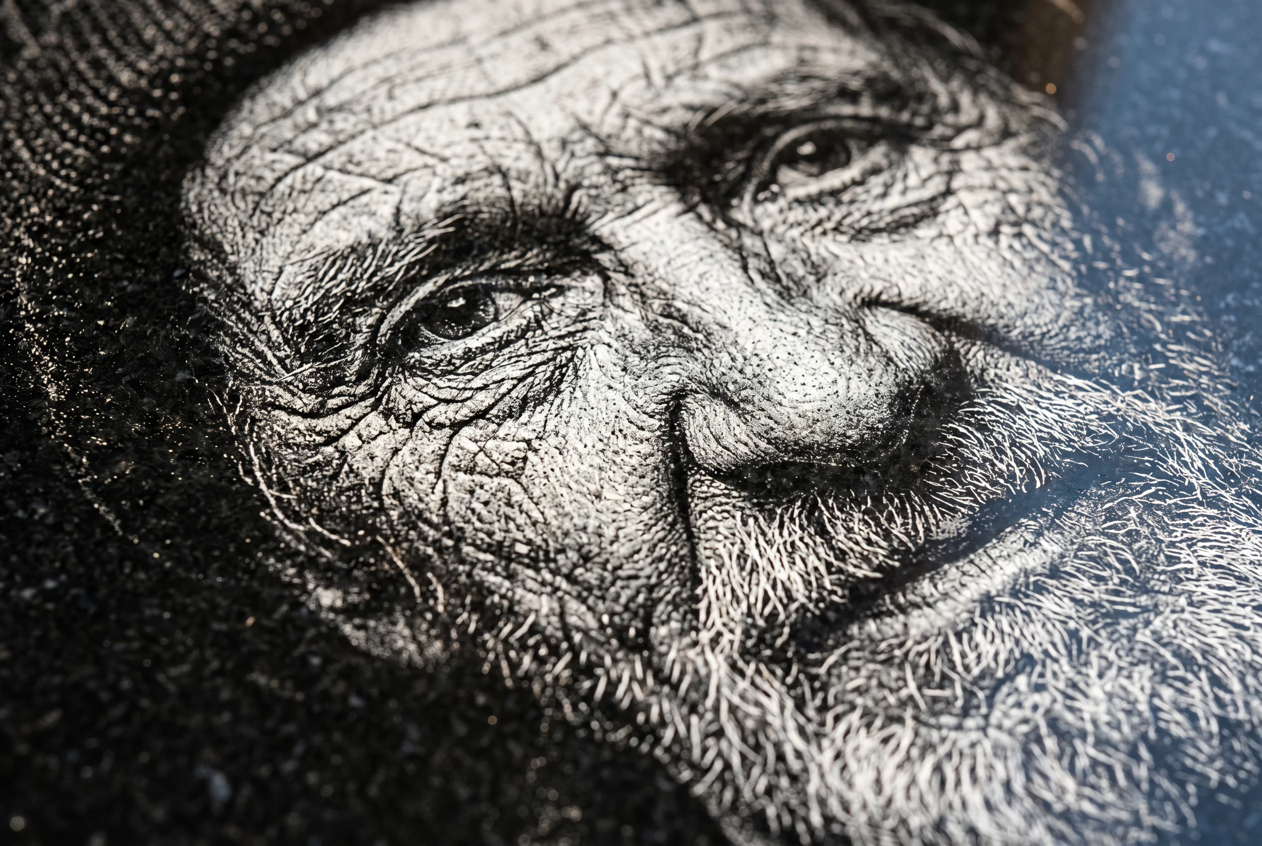 Laser engraving detail